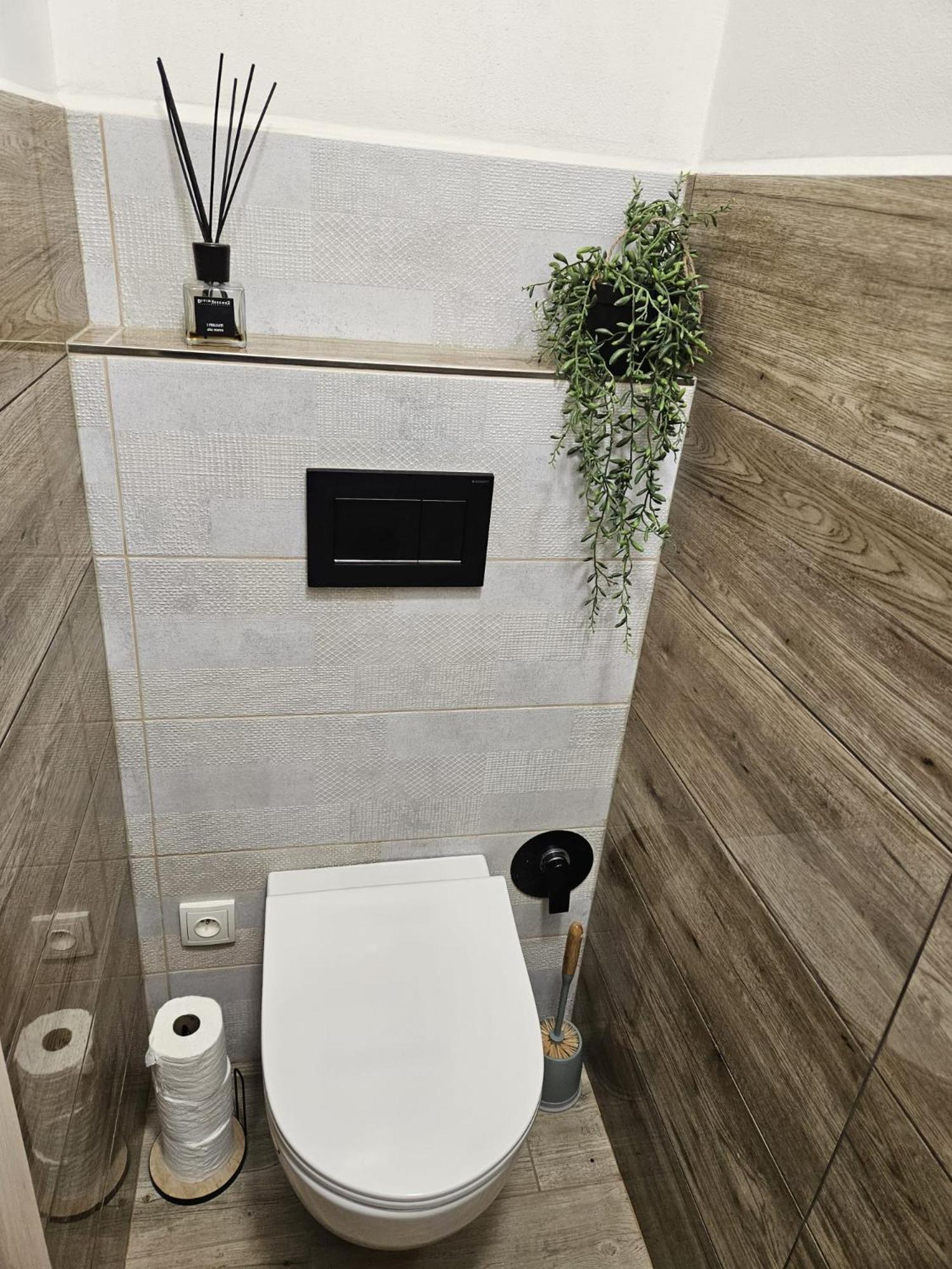 Apartman 184 - Vysoke Myto Luaran gambar